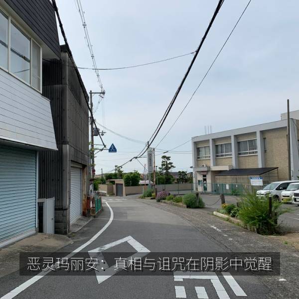 海川剧场 高分影视精选主视觉
